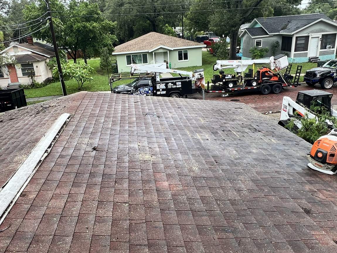 After: the same roof cleared of the tree and swept clean, with the King Cuts trucks parked on the street below