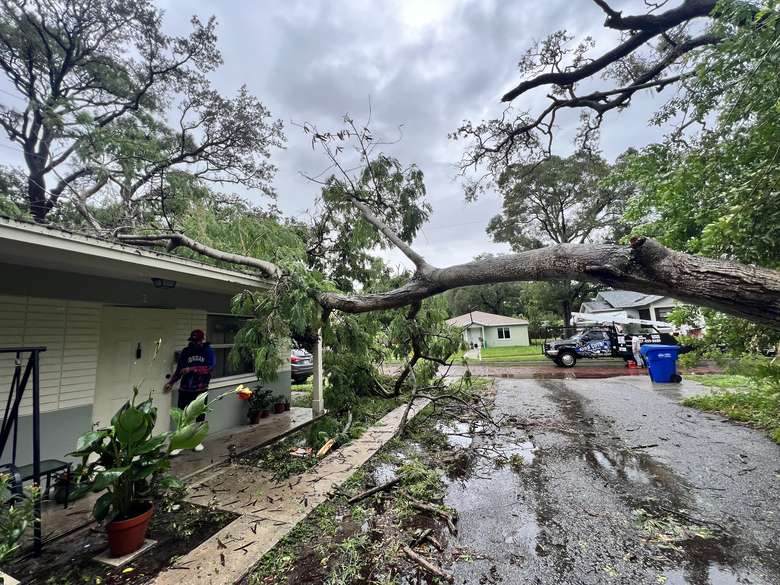 Storm-downed oak resting on the front porch of a house